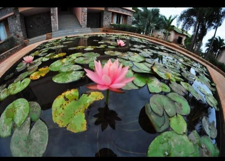 Krishna Heritage Resort 巴达米 外观 照片